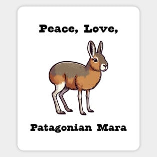 Patagonian Mara Magnet